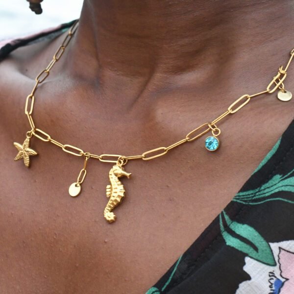 Collier Marin